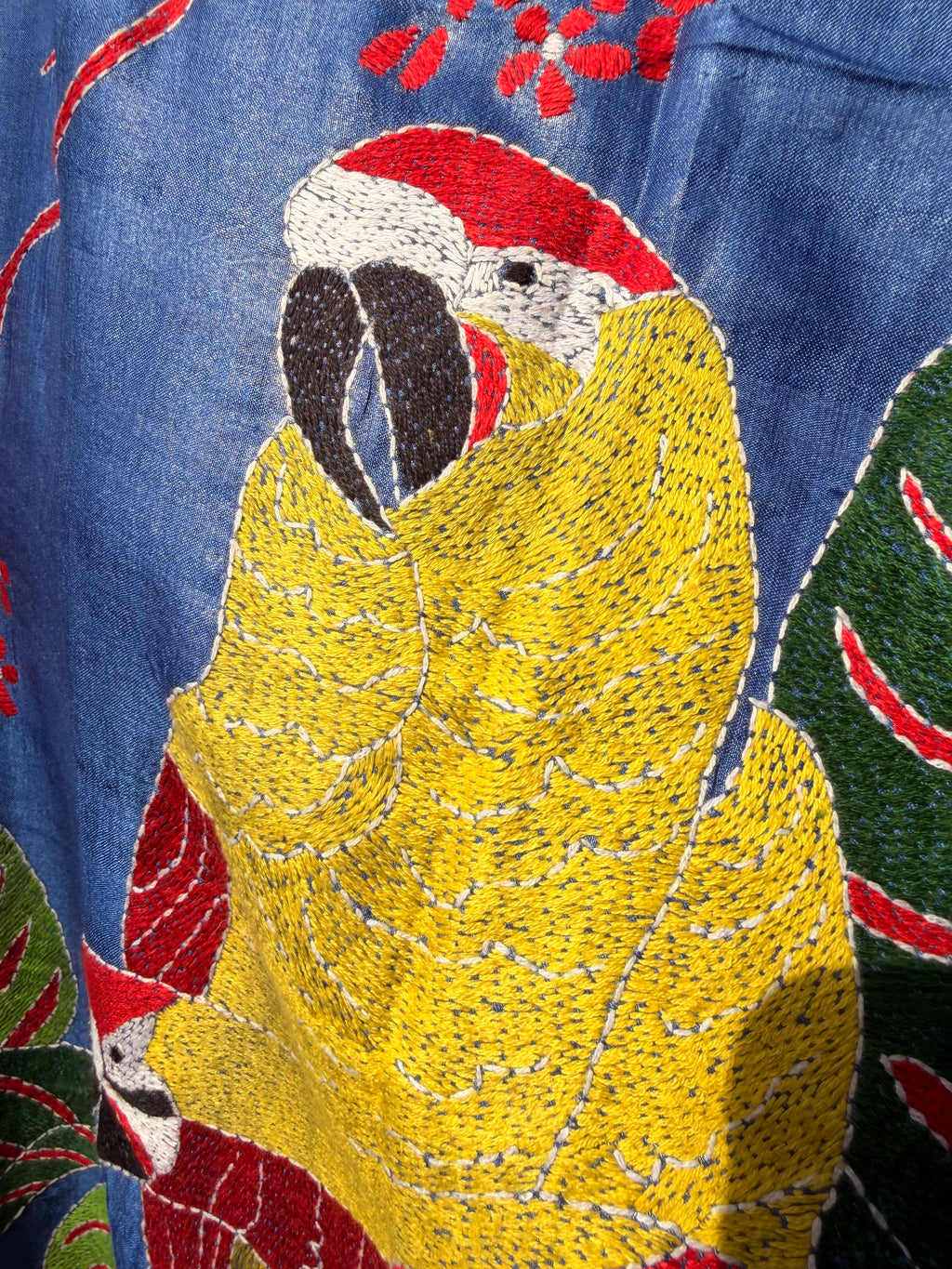 Macaws in Blue